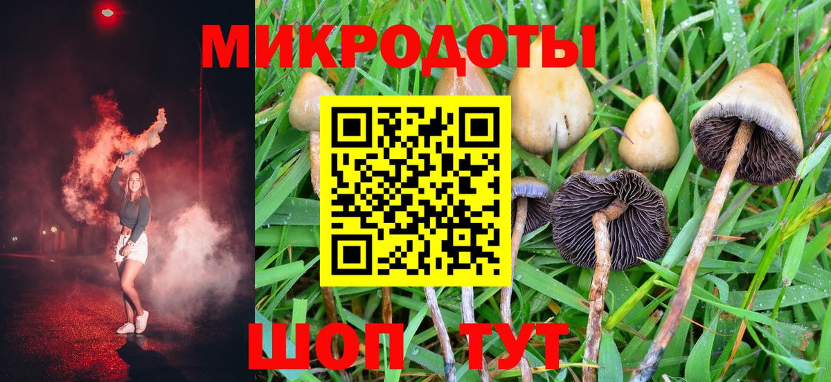 Галлюциногенные грибы ЛСД Мирный