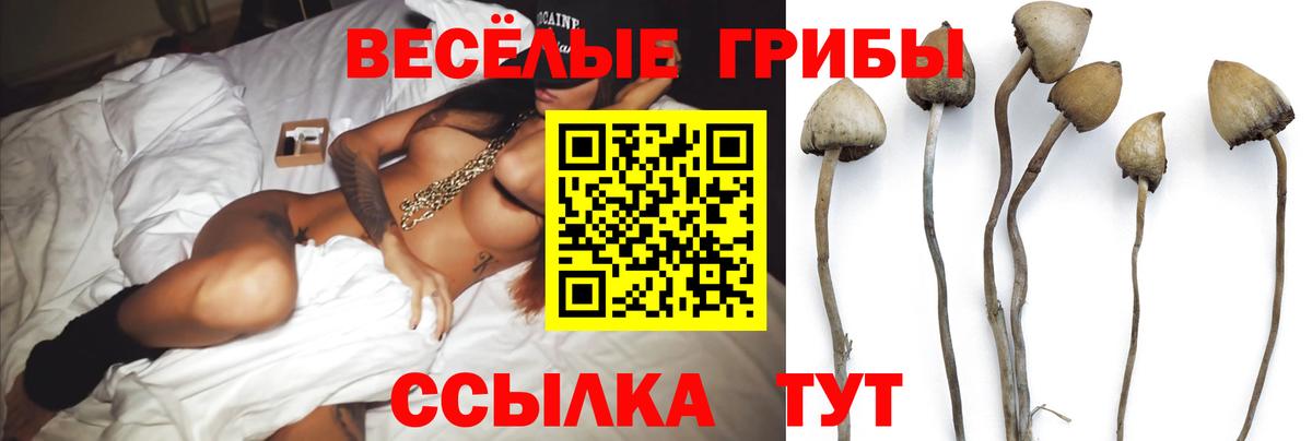Мирный  Галлюциногенные грибы ЛСД  Вход с VPN 